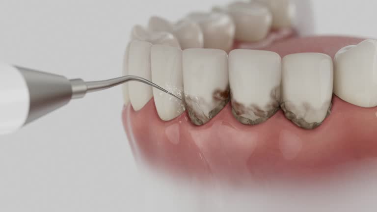 Reliable Dental contractor in Moose Wilson Road, WY by Dentist Open Now